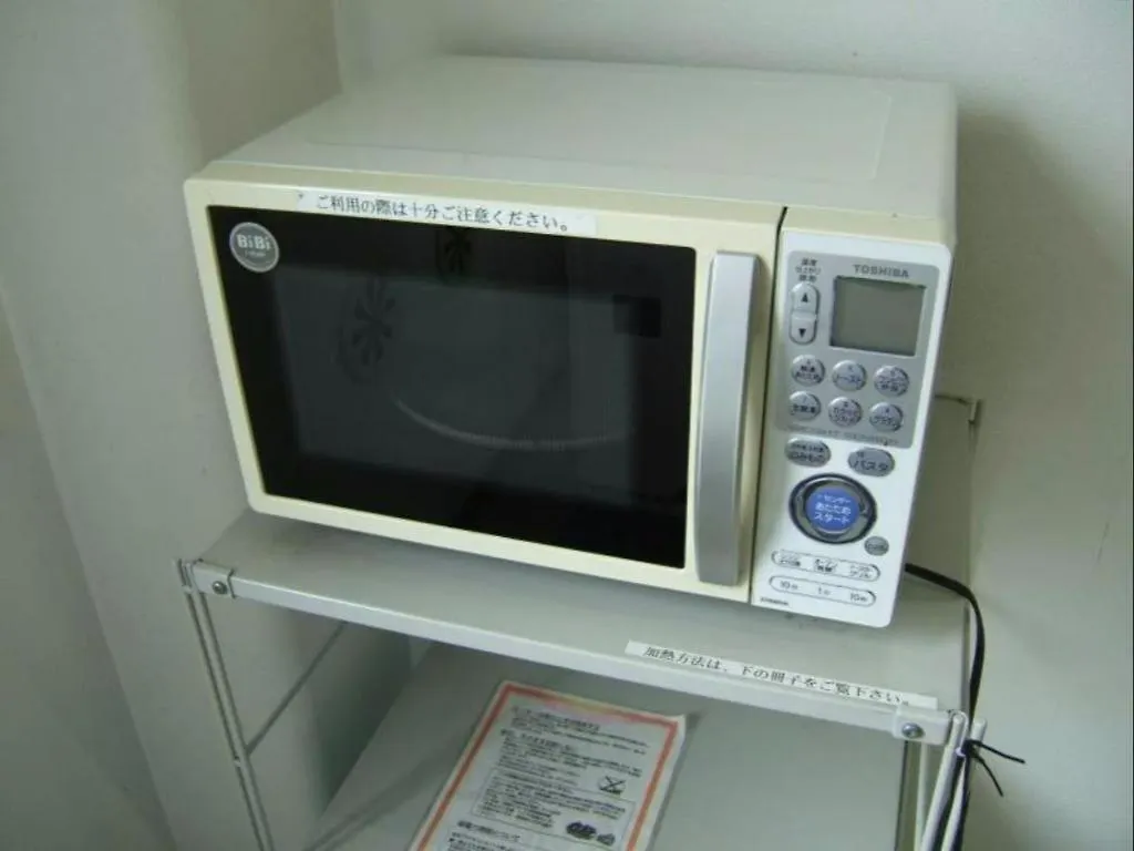 川崎グリーンプラザホテル 2*, 川崎町